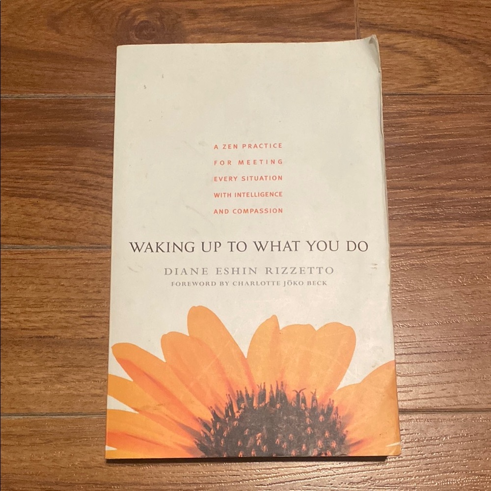 Waking Up to What You Do by Diane Eshin Rizzetto